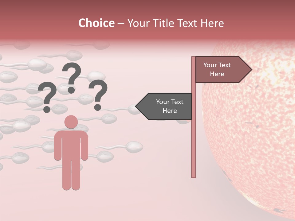 Cartoon Illustrating Male Sperm Cells Fertilizing A Female Egg PowerPoint Template