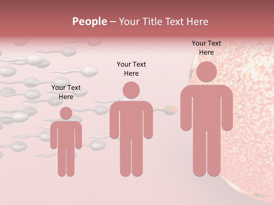 Cartoon Illustrating Male Sperm Cells Fertilizing A Female Egg PowerPoint Template