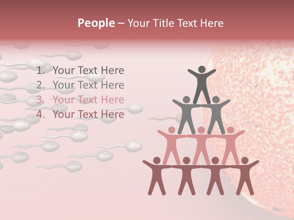 Cartoon Illustrating Male Sperm Cells Fertilizing A Female Egg PowerPoint Template