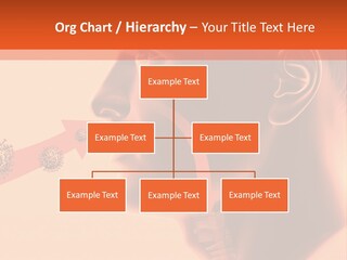 Stone Arch At Cape Kaliakra, Bulgaria PowerPoint Template