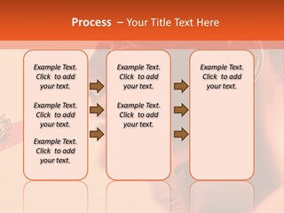 Stone Arch At Cape Kaliakra, Bulgaria PowerPoint Template