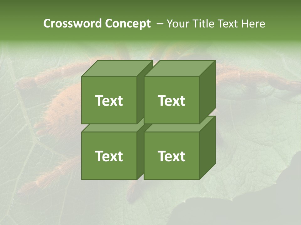 A Obt Tarantula Is Resting On A Leaf. PowerPoint Template