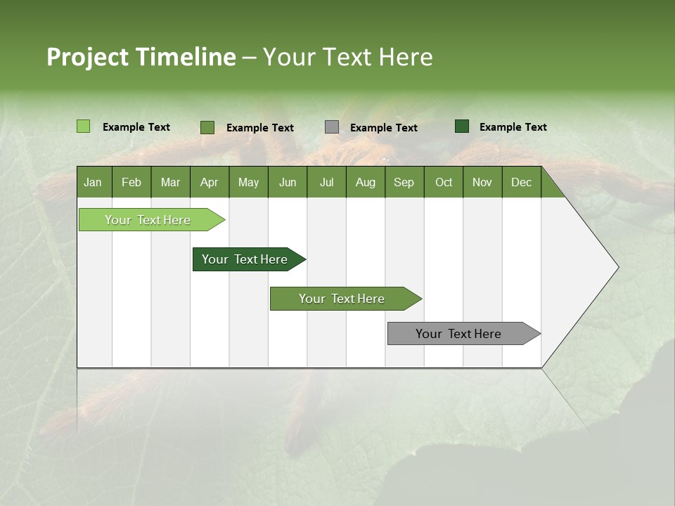 A Obt Tarantula Is Resting On A Leaf. PowerPoint Template
