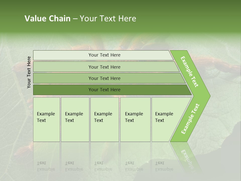 A Obt Tarantula Is Resting On A Leaf. PowerPoint Template