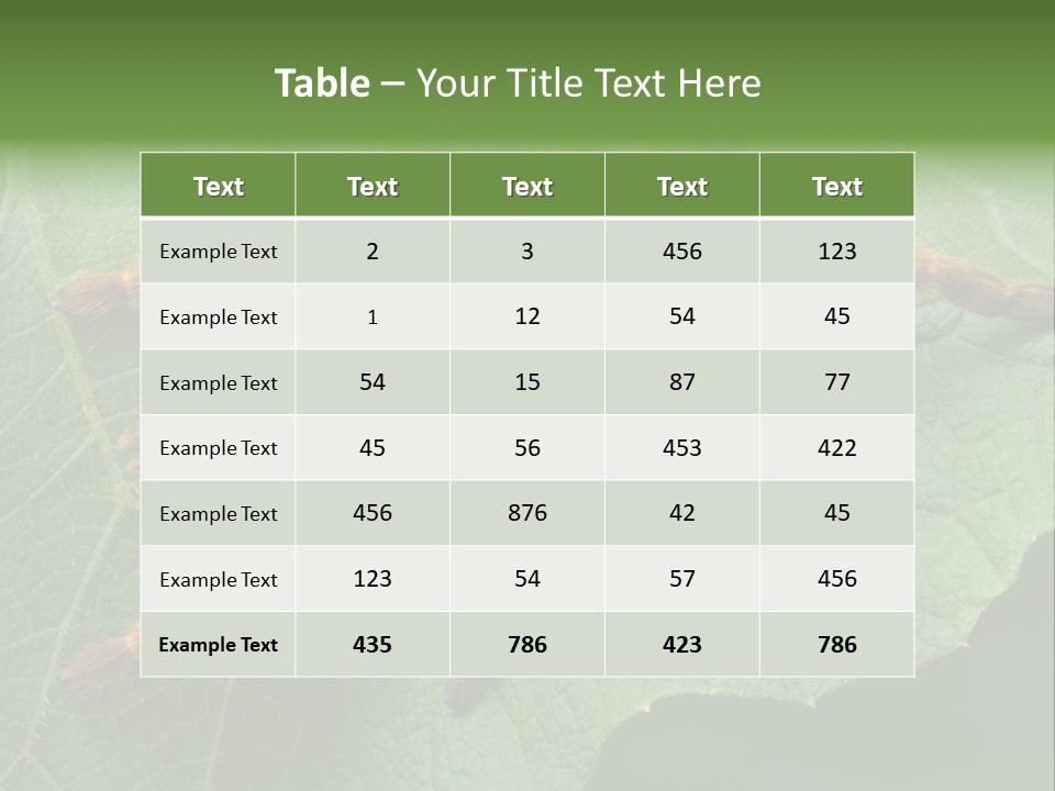A Obt Tarantula Is Resting On A Leaf. PowerPoint Template