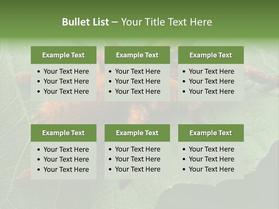 A Obt Tarantula Is Resting On A Leaf. PowerPoint Template