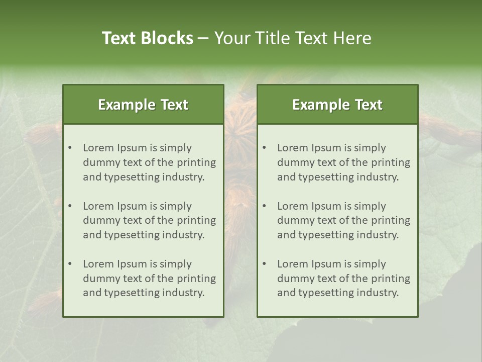 A Obt Tarantula Is Resting On A Leaf. PowerPoint Template