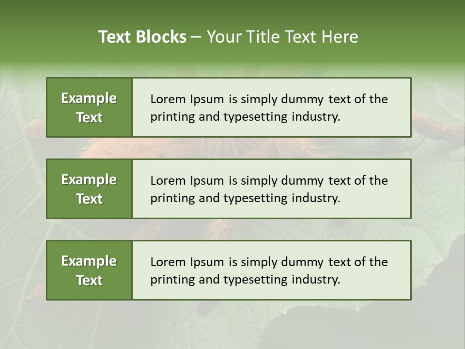A Obt Tarantula Is Resting On A Leaf. PowerPoint Template