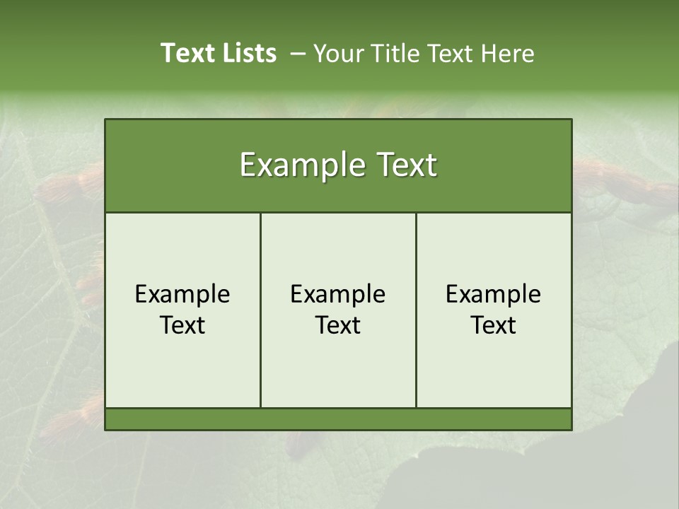 A Obt Tarantula Is Resting On A Leaf. PowerPoint Template