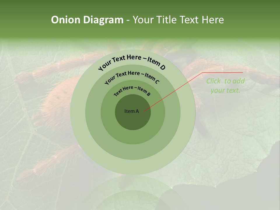 A Obt Tarantula Is Resting On A Leaf. PowerPoint Template