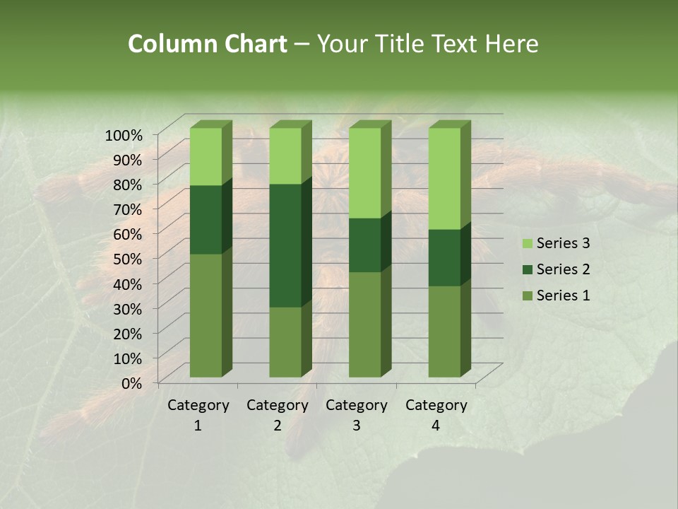 A Obt Tarantula Is Resting On A Leaf. PowerPoint Template