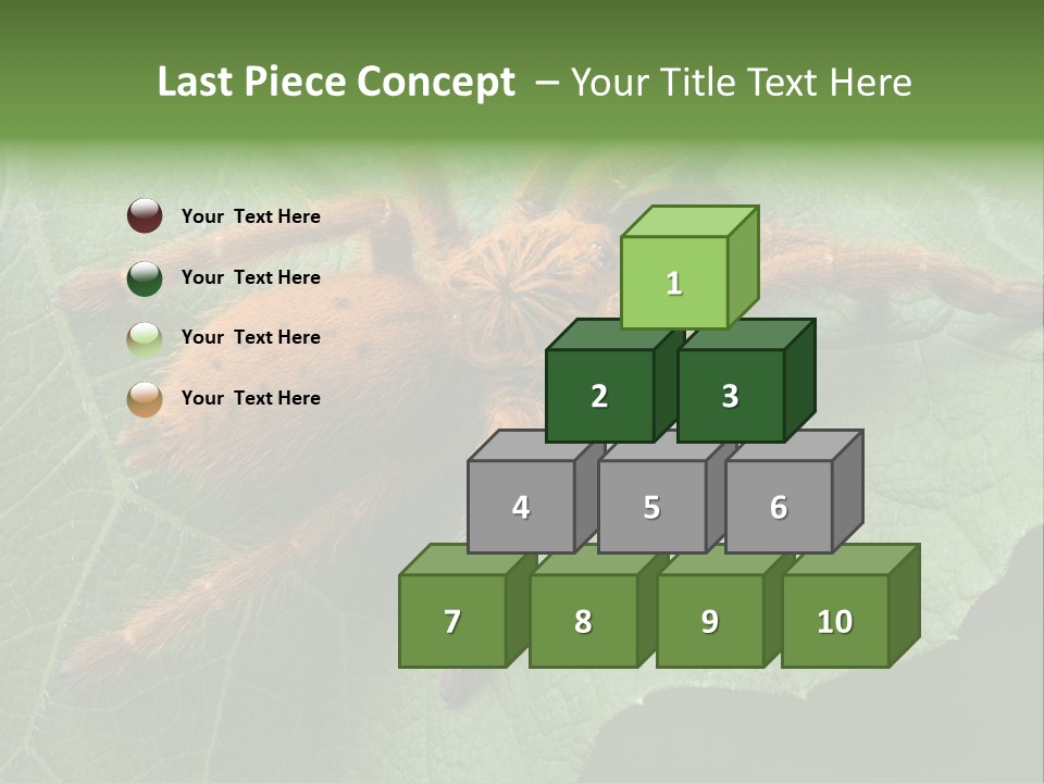 A Obt Tarantula Is Resting On A Leaf. PowerPoint Template