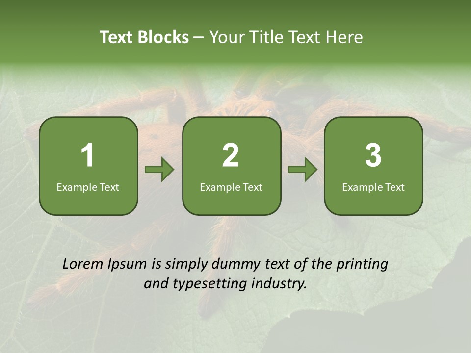 A Obt Tarantula Is Resting On A Leaf. PowerPoint Template