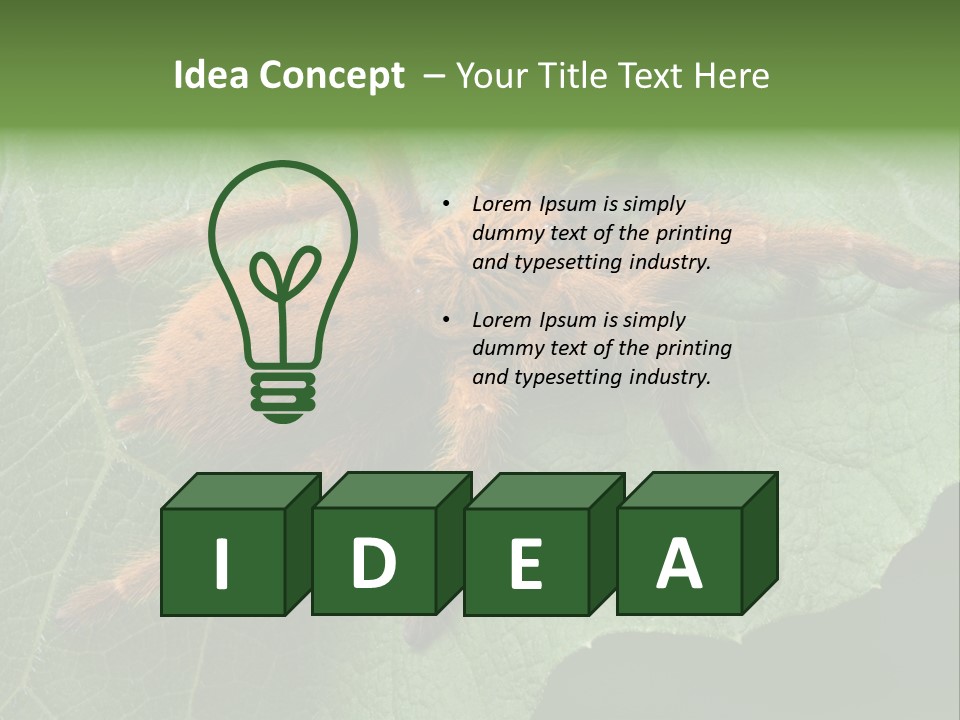 A Obt Tarantula Is Resting On A Leaf. PowerPoint Template