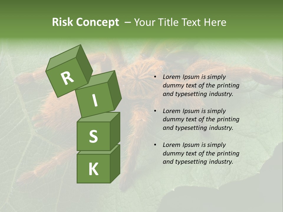 A Obt Tarantula Is Resting On A Leaf. PowerPoint Template