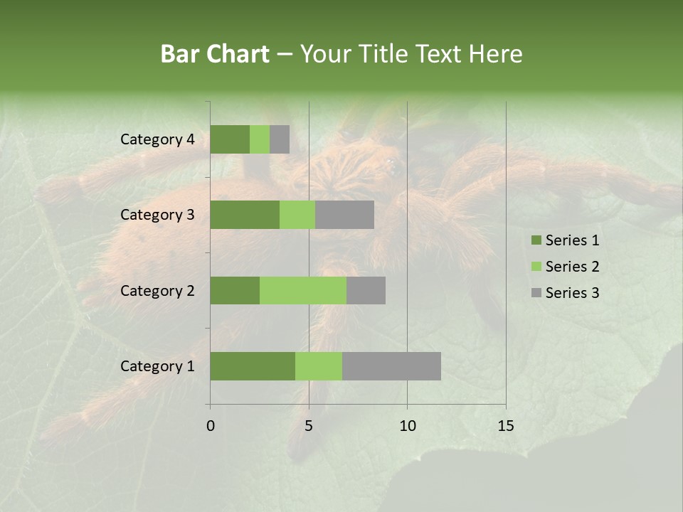 A Obt Tarantula Is Resting On A Leaf. PowerPoint Template