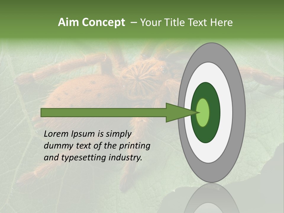 A Obt Tarantula Is Resting On A Leaf. PowerPoint Template