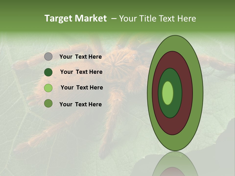 A Obt Tarantula Is Resting On A Leaf. PowerPoint Template