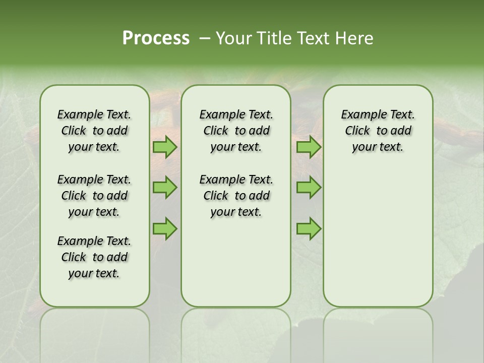 A Obt Tarantula Is Resting On A Leaf. PowerPoint Template