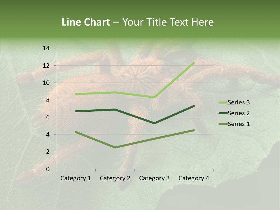 A Obt Tarantula Is Resting On A Leaf. PowerPoint Template