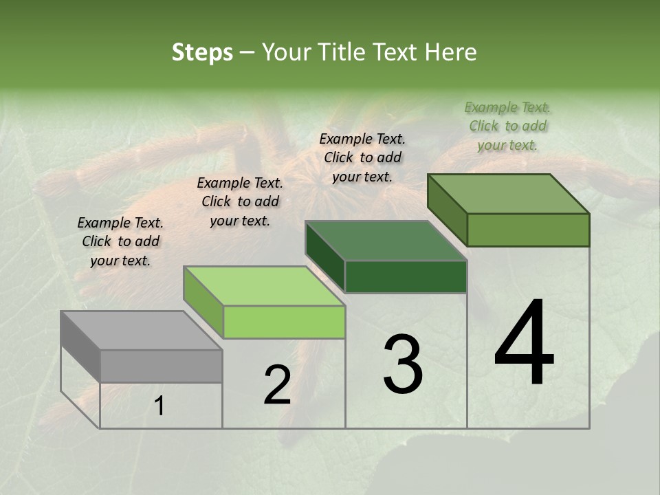 A Obt Tarantula Is Resting On A Leaf. PowerPoint Template