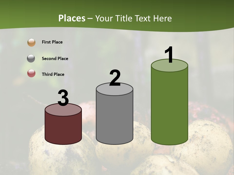 A First Harvest Of Organically Grown New Potatoes, Freshly Dug From The Ground Lying On Top Of The Soil, With A Garden Fork In The Background. PowerPoint Template