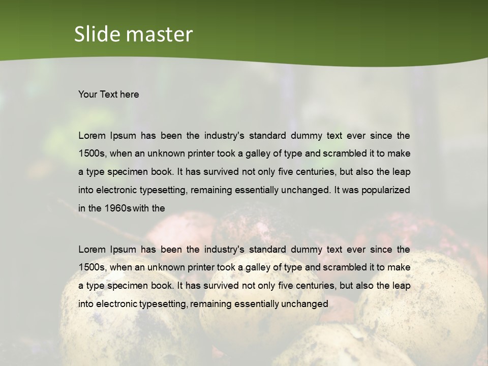 A First Harvest Of Organically Grown New Potatoes, Freshly Dug From The Ground Lying On Top Of The Soil, With A Garden Fork In The Background. PowerPoint Template