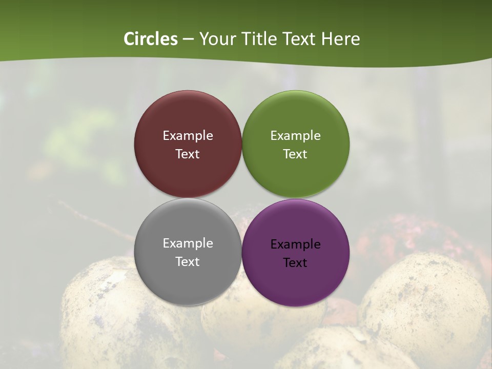 A First Harvest Of Organically Grown New Potatoes, Freshly Dug From The Ground Lying On Top Of The Soil, With A Garden Fork In The Background. PowerPoint Template