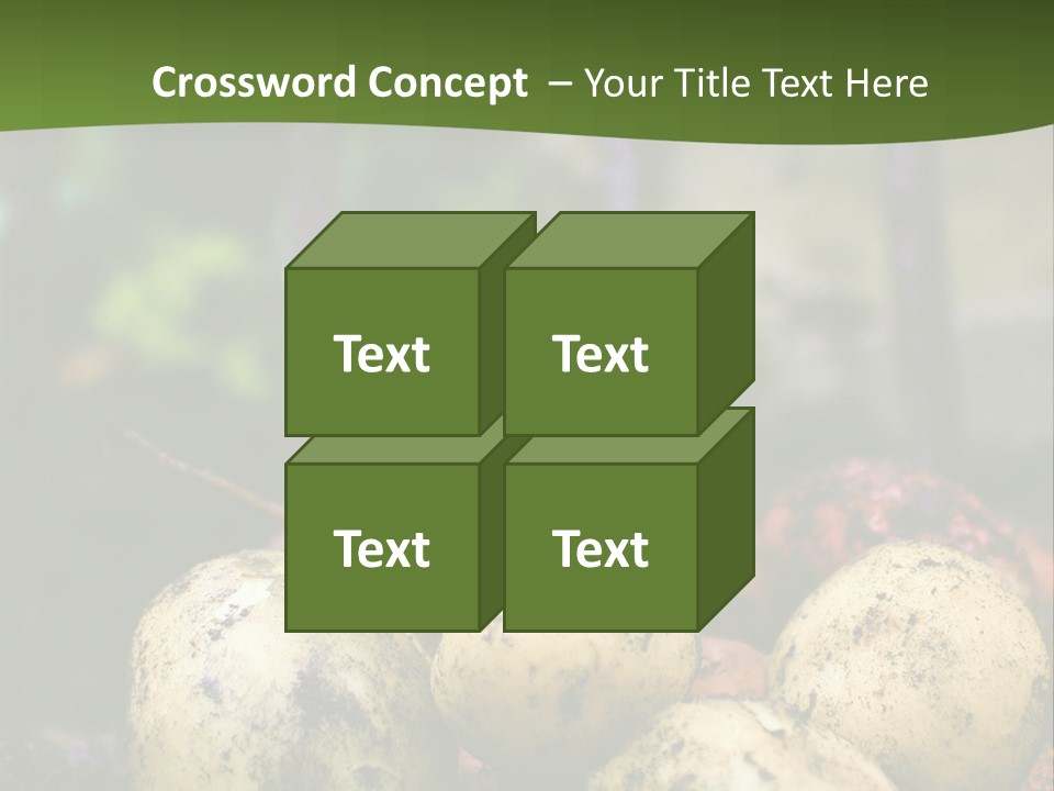 A First Harvest Of Organically Grown New Potatoes, Freshly Dug From The Ground Lying On Top Of The Soil, With A Garden Fork In The Background. PowerPoint Template