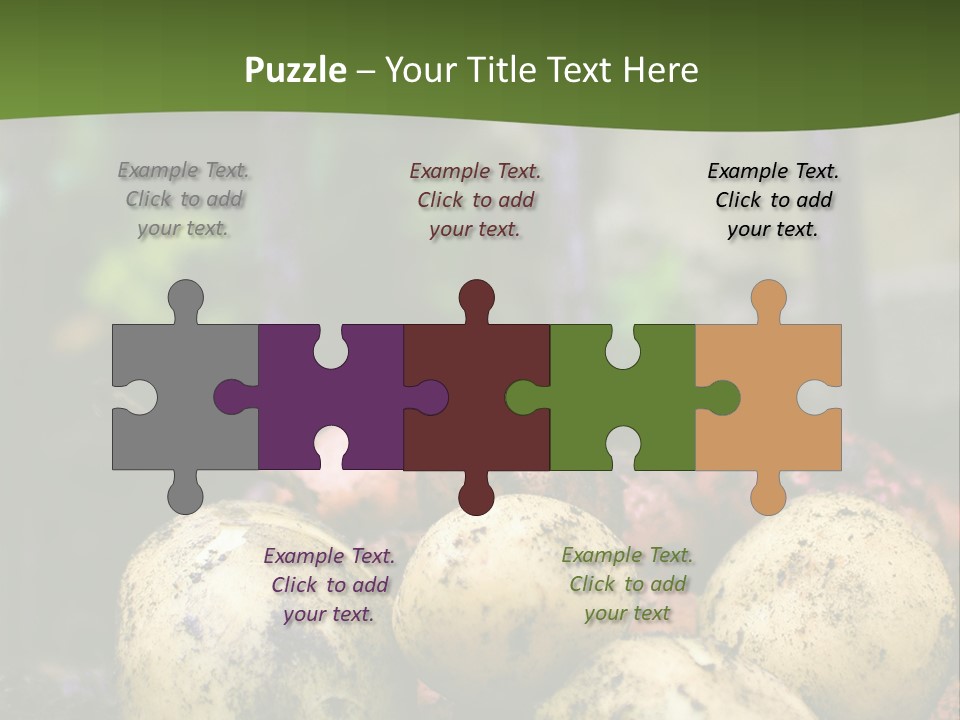 A First Harvest Of Organically Grown New Potatoes, Freshly Dug From The Ground Lying On Top Of The Soil, With A Garden Fork In The Background. PowerPoint Template