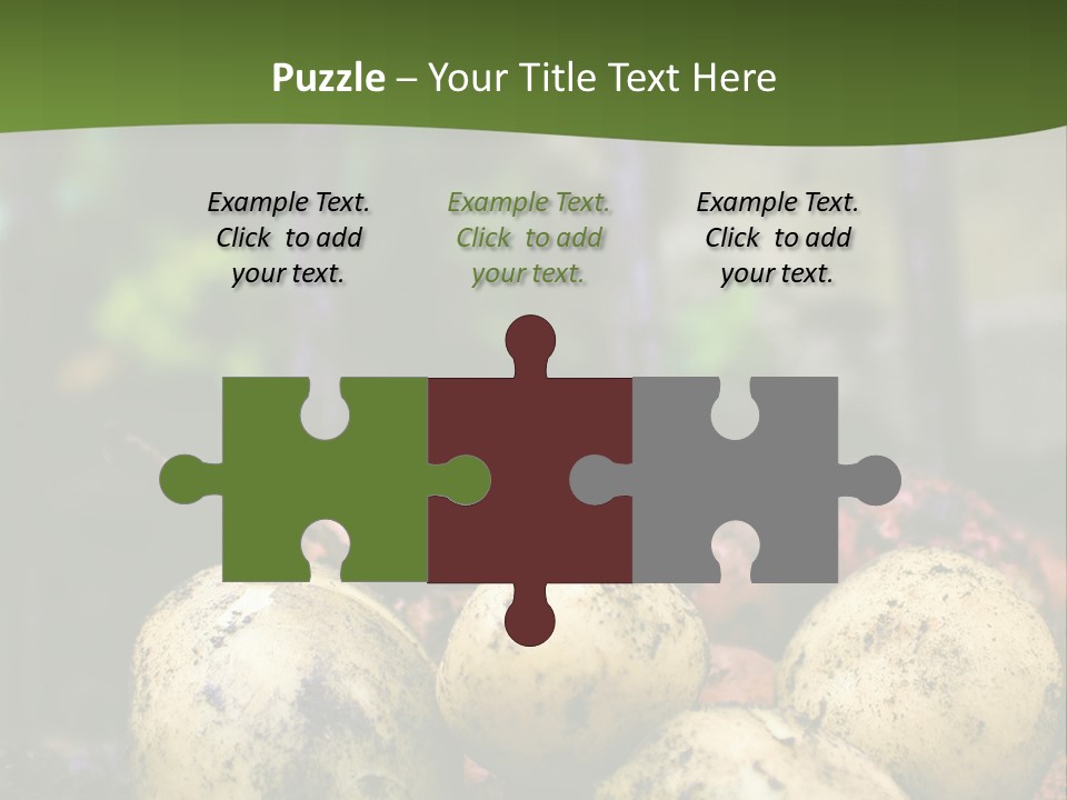 A First Harvest Of Organically Grown New Potatoes, Freshly Dug From The Ground Lying On Top Of The Soil, With A Garden Fork In The Background. PowerPoint Template