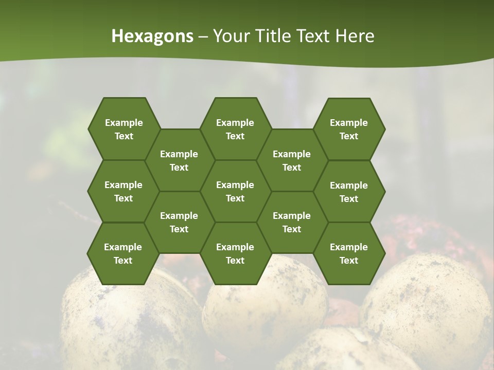 A First Harvest Of Organically Grown New Potatoes, Freshly Dug From The Ground Lying On Top Of The Soil, With A Garden Fork In The Background. PowerPoint Template