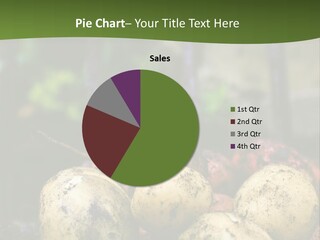 A First Harvest Of Organically Grown New Potatoes, Freshly Dug From The Ground Lying On Top Of The Soil, With A Garden Fork In The Background. PowerPoint Template