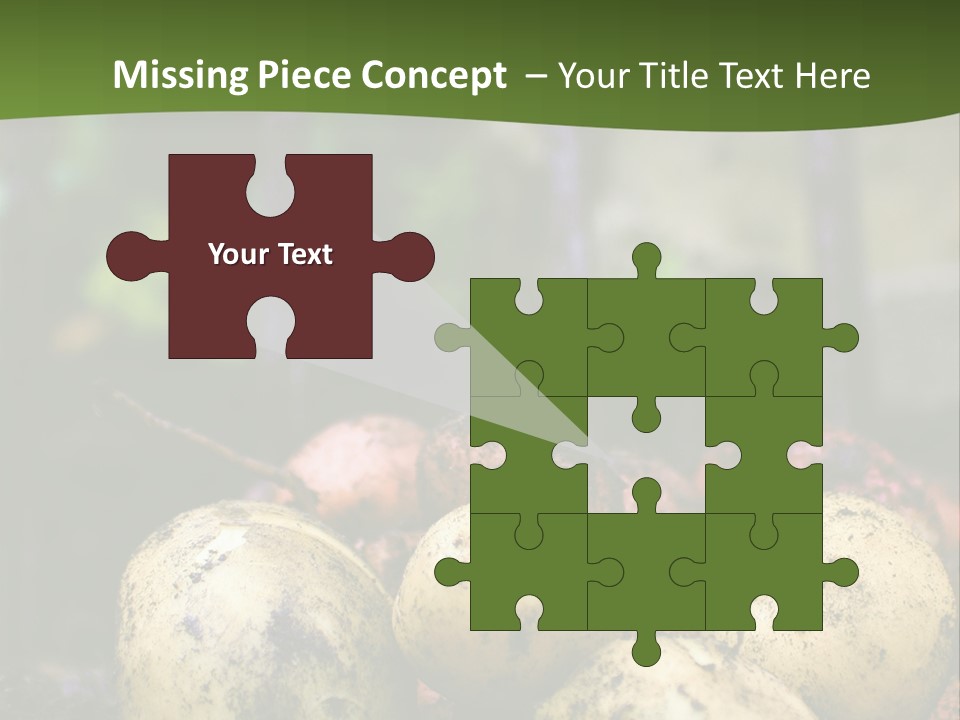 A First Harvest Of Organically Grown New Potatoes, Freshly Dug From The Ground Lying On Top Of The Soil, With A Garden Fork In The Background. PowerPoint Template