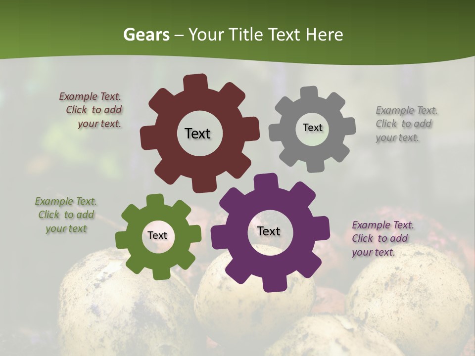 A First Harvest Of Organically Grown New Potatoes, Freshly Dug From The Ground Lying On Top Of The Soil, With A Garden Fork In The Background. PowerPoint Template
