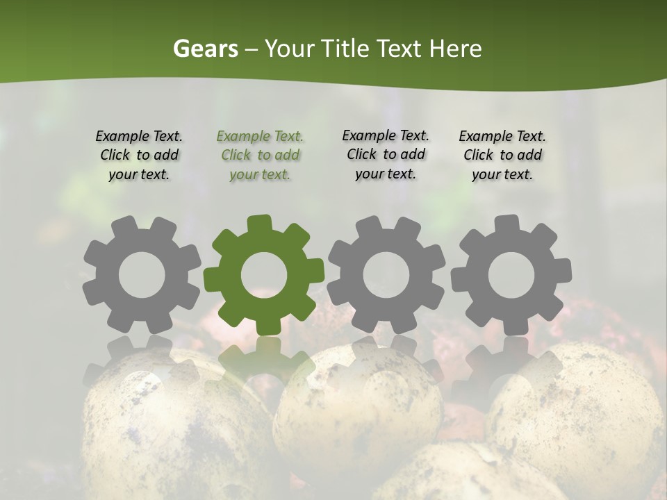 A First Harvest Of Organically Grown New Potatoes, Freshly Dug From The Ground Lying On Top Of The Soil, With A Garden Fork In The Background. PowerPoint Template