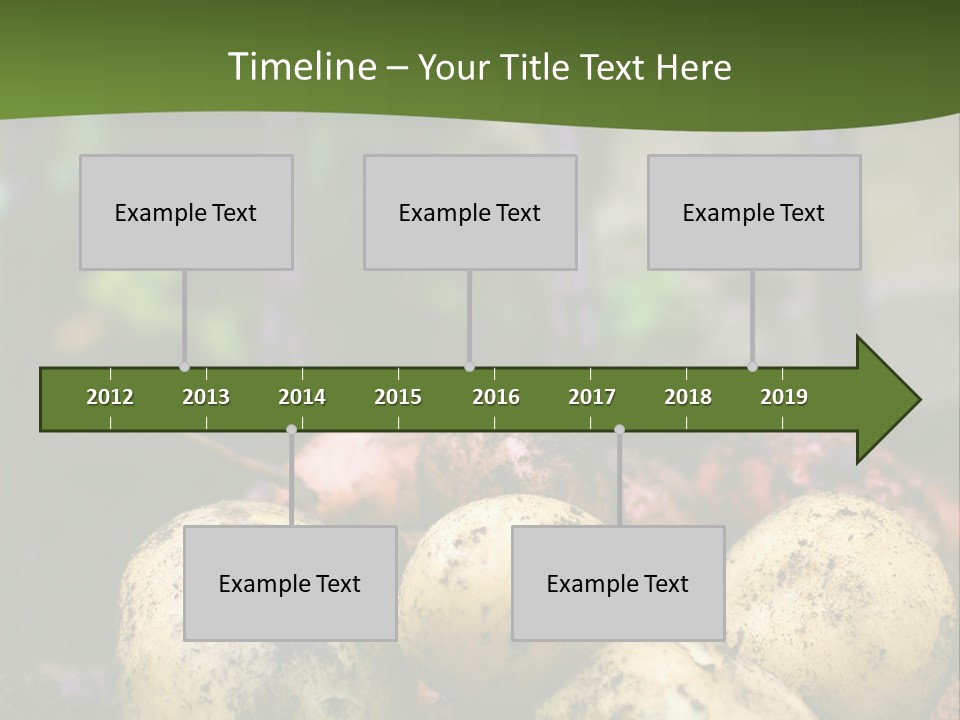 A First Harvest Of Organically Grown New Potatoes, Freshly Dug From The Ground Lying On Top Of The Soil, With A Garden Fork In The Background. PowerPoint Template