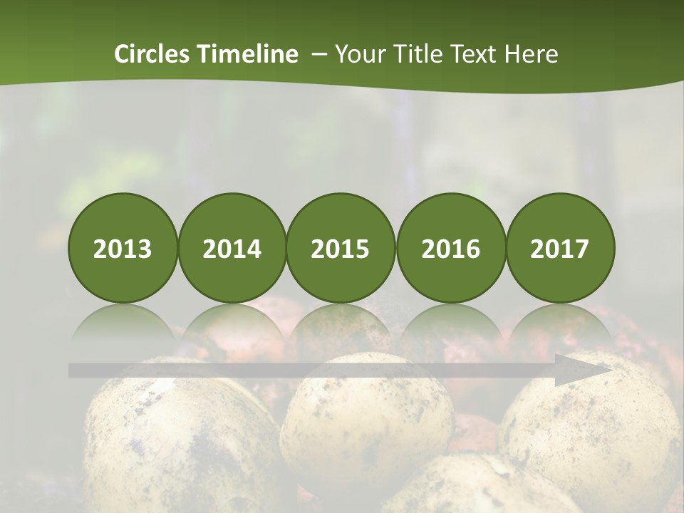 A First Harvest Of Organically Grown New Potatoes, Freshly Dug From The Ground Lying On Top Of The Soil, With A Garden Fork In The Background. PowerPoint Template