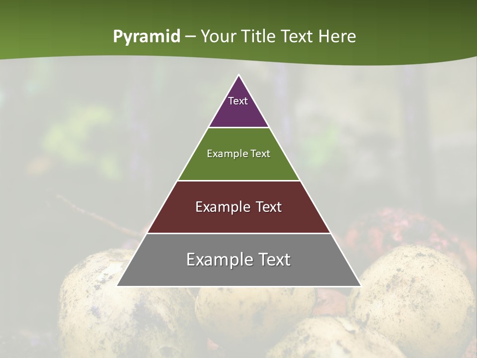 A First Harvest Of Organically Grown New Potatoes, Freshly Dug From The Ground Lying On Top Of The Soil, With A Garden Fork In The Background. PowerPoint Template