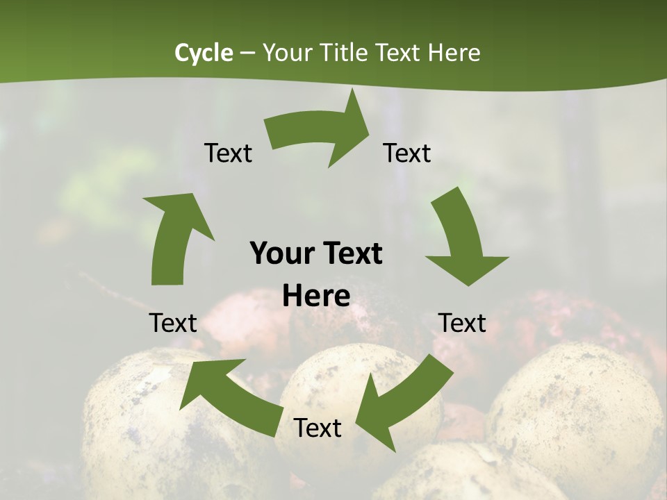A First Harvest Of Organically Grown New Potatoes, Freshly Dug From The Ground Lying On Top Of The Soil, With A Garden Fork In The Background. PowerPoint Template