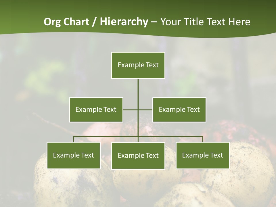 A First Harvest Of Organically Grown New Potatoes, Freshly Dug From The Ground Lying On Top Of The Soil, With A Garden Fork In The Background. PowerPoint Template