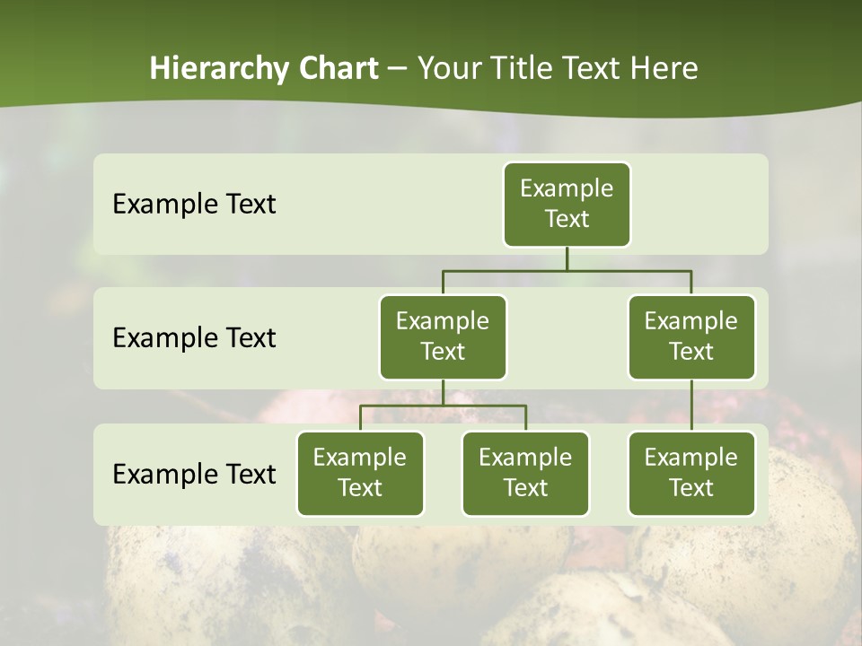 A First Harvest Of Organically Grown New Potatoes, Freshly Dug From The Ground Lying On Top Of The Soil, With A Garden Fork In The Background. PowerPoint Template