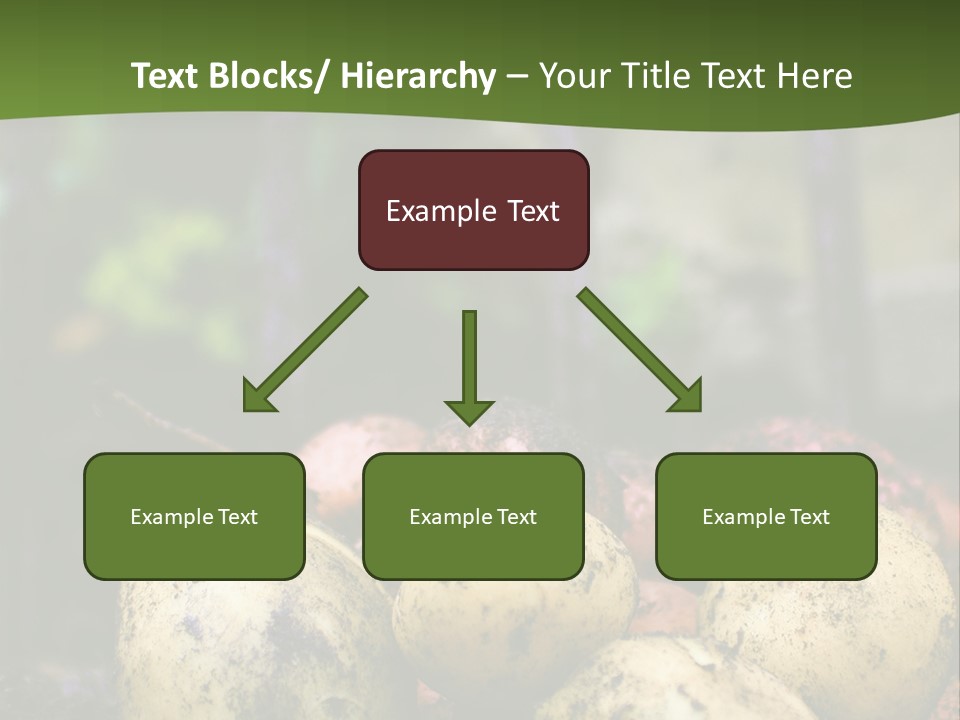 A First Harvest Of Organically Grown New Potatoes, Freshly Dug From The Ground Lying On Top Of The Soil, With A Garden Fork In The Background. PowerPoint Template