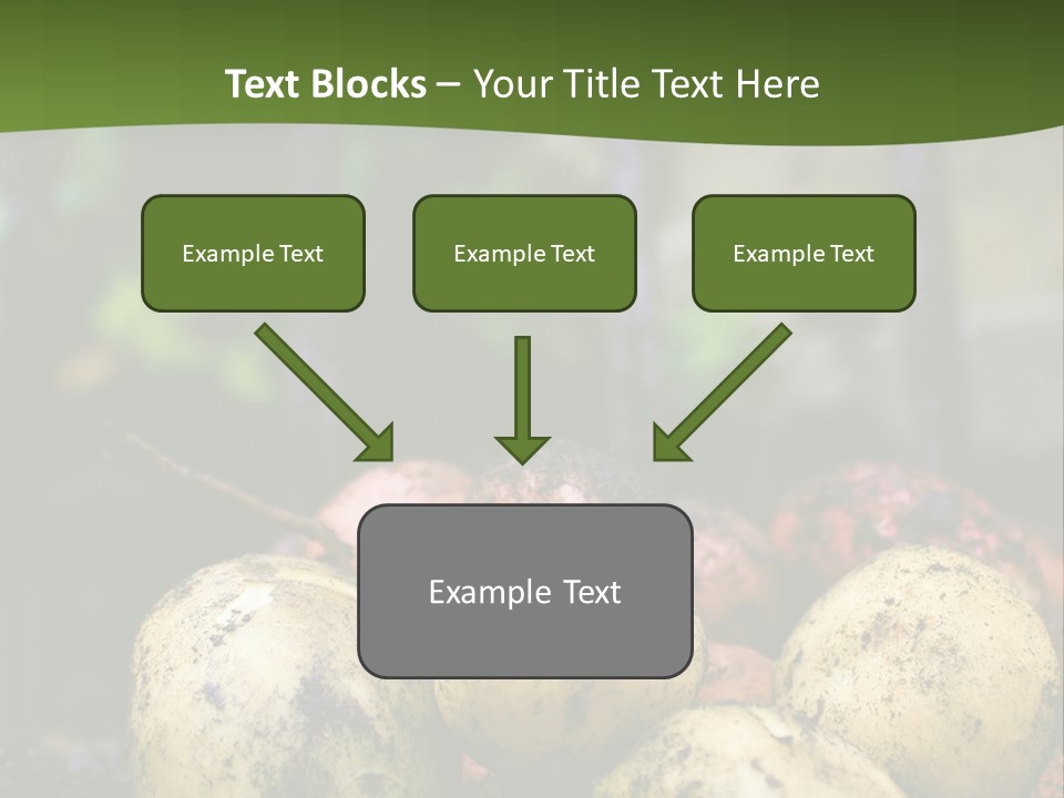 A First Harvest Of Organically Grown New Potatoes, Freshly Dug From The Ground Lying On Top Of The Soil, With A Garden Fork In The Background. PowerPoint Template