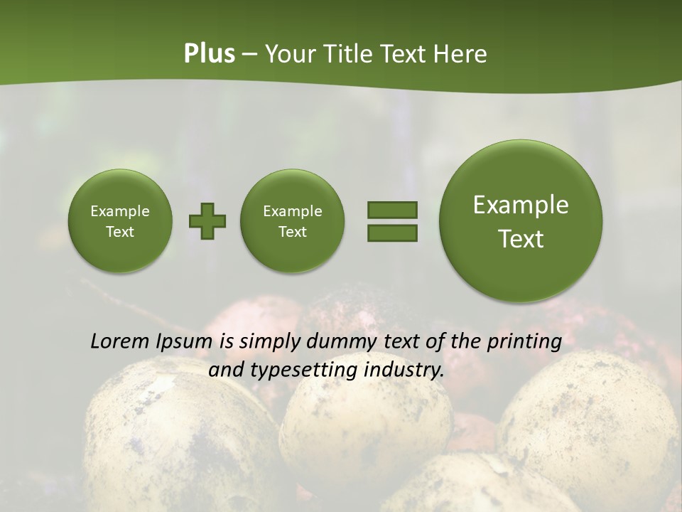 A First Harvest Of Organically Grown New Potatoes, Freshly Dug From The Ground Lying On Top Of The Soil, With A Garden Fork In The Background. PowerPoint Template