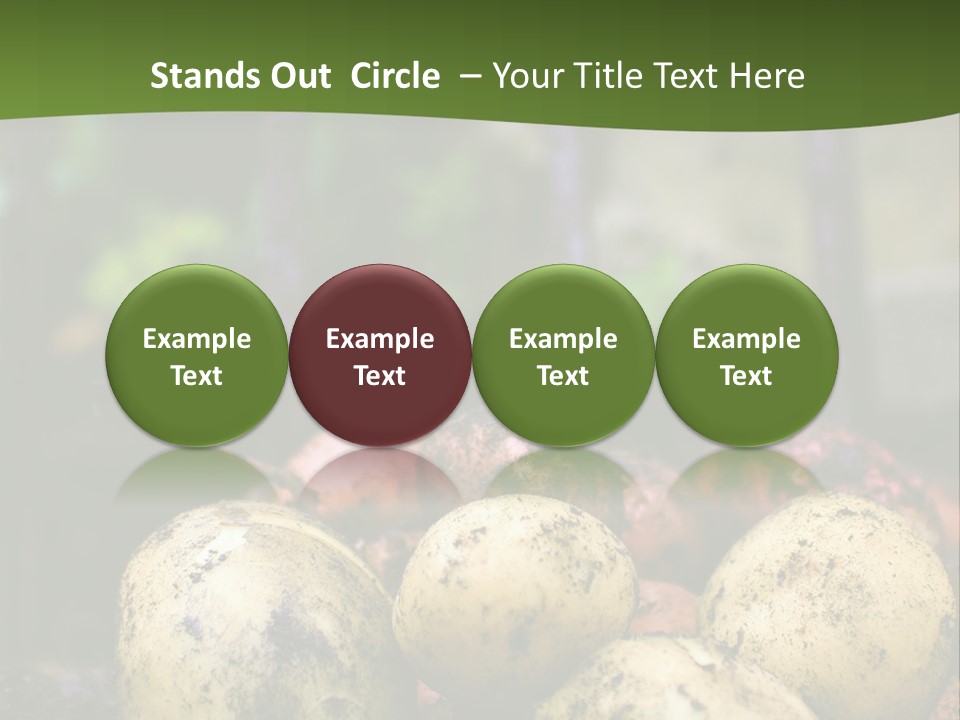 A First Harvest Of Organically Grown New Potatoes, Freshly Dug From The Ground Lying On Top Of The Soil, With A Garden Fork In The Background. PowerPoint Template