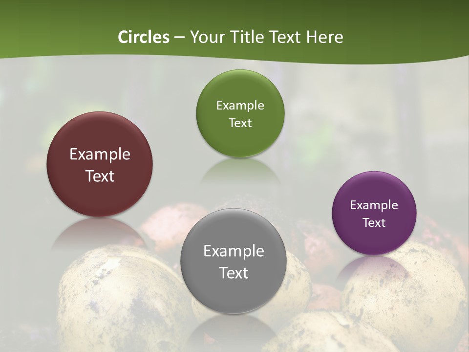A First Harvest Of Organically Grown New Potatoes, Freshly Dug From The Ground Lying On Top Of The Soil, With A Garden Fork In The Background. PowerPoint Template