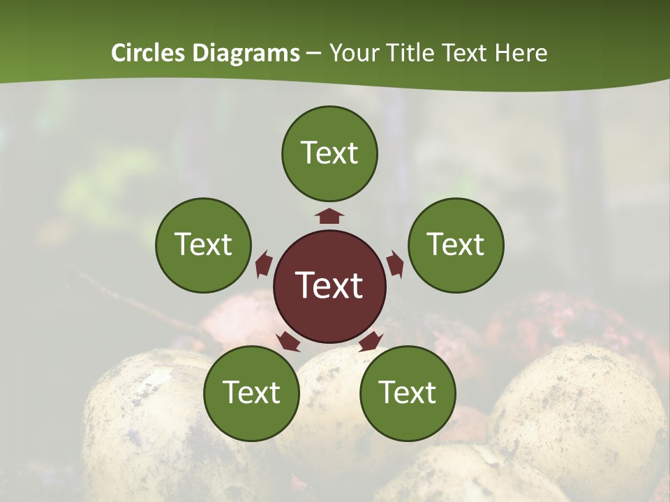 A First Harvest Of Organically Grown New Potatoes, Freshly Dug From The Ground Lying On Top Of The Soil, With A Garden Fork In The Background. PowerPoint Template