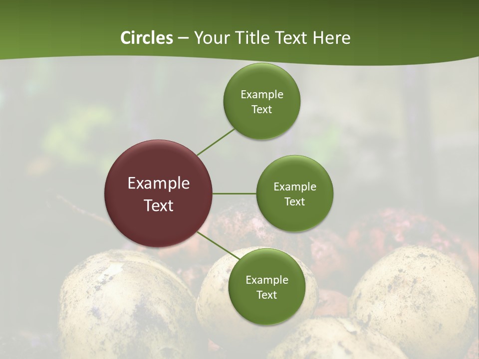 A First Harvest Of Organically Grown New Potatoes, Freshly Dug From The Ground Lying On Top Of The Soil, With A Garden Fork In The Background. PowerPoint Template
