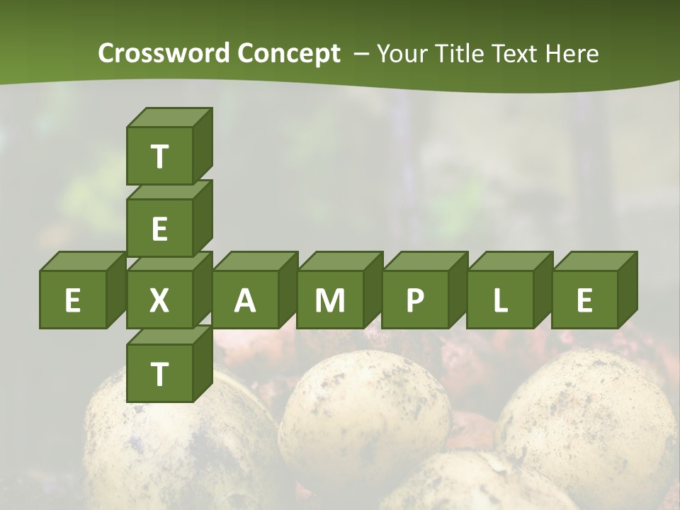 A First Harvest Of Organically Grown New Potatoes, Freshly Dug From The Ground Lying On Top Of The Soil, With A Garden Fork In The Background. PowerPoint Template